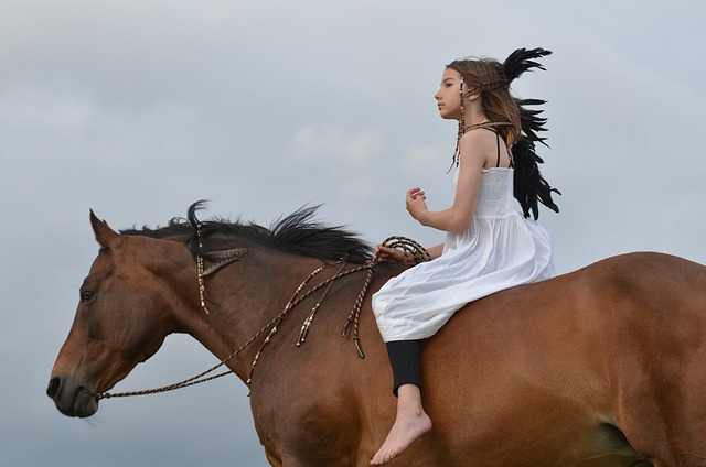 cavallo